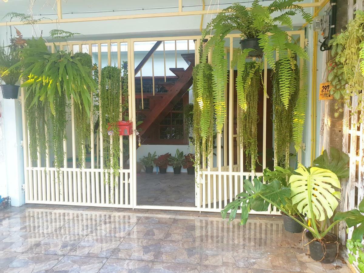 297 Nature Residence Bangkok Eksteriør billede
